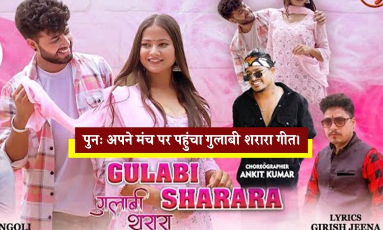 ‘गुलाबी शरारा’ गीत यूट्यूब पर फिर आया वापस, इस वजह से था हटा ‘गुलाबी शरारा’ गीत यूट्यूब पर फिर आया वापस, इस वजह से था हटा