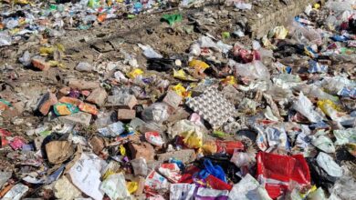 भारूवाला ग्रांट में गंदगी का सम्राज्य भारूवाला ग्रांट में गंदगी का सम्राज्य