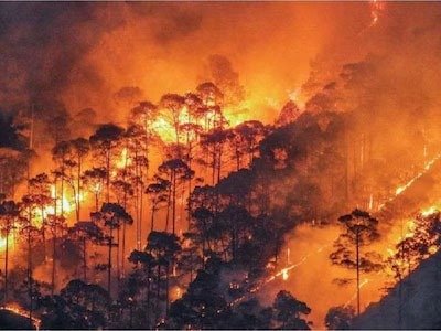 वनाग्नि से 33.34 हेक्टेयर जंगल प्रभावित