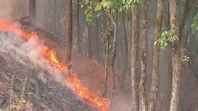 नहीं बुझ पाई बाड़ाहाट रेंज के जंगलों में फैली आग