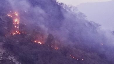 उत्तराखंड के जंगलों में लगी आग बुझने का नाम नहीं ले रही