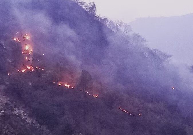 उत्तराखंड के जंगलों में लगी आग बुझने का नाम नहीं ले रही उत्तराखंड के जंगलों में लगी आग बुझने का नाम नहीं ले रही