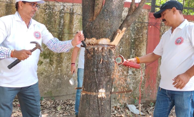 कौन है इस तबाही का जिम्मेदार