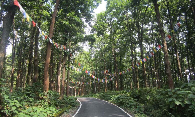 जनजीवन को सुरक्षित रखने के लिए पर्यावरण का सुरक्षित रहना बहुत जरूरी जनजीवन को सुरक्षित रखने के लिए पर्यावरण का सुरक्षित रहना बहुत जरूरी