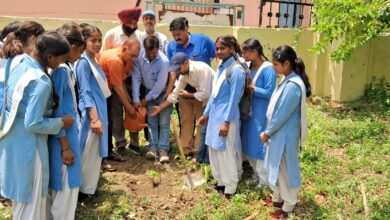विश्व पर्यावरण दिवस के अवसर पर एनसीसी कैडेट ने पौधारोपण किया
