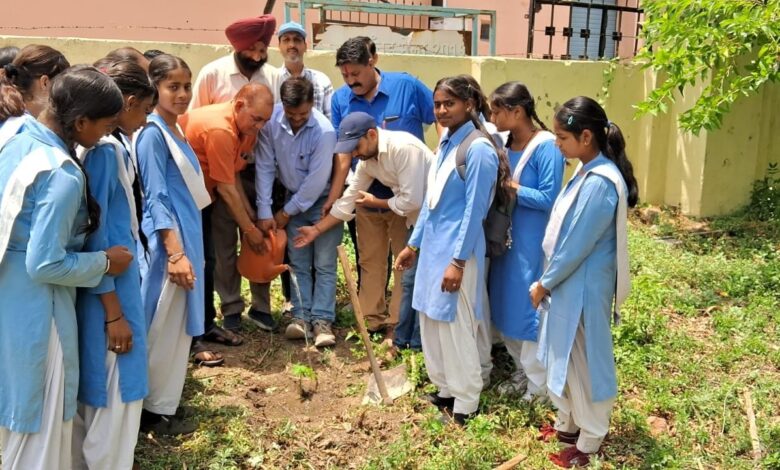 विश्व पर्यावरण दिवस के अवसर पर एनसीसी कैडेट ने पौधारोपण किया