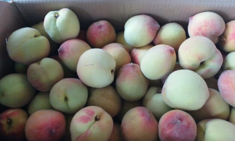 आड़ू में विटामिन सी भरपूर मात्रा में पाया जाता है आड़ू में विटामिन सी भरपूर मात्रा में पाया जाता है