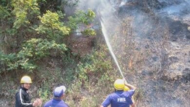 जंगल में लगी आग, कड़ी मशक्कत से पाया आग पर काबू