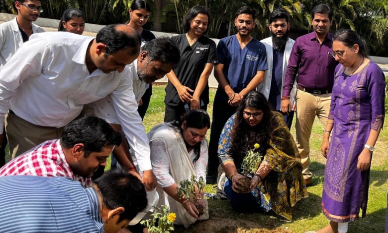 रोपित किए गए फूलों के पौधे रोपित किए गए फूलों के पौधे