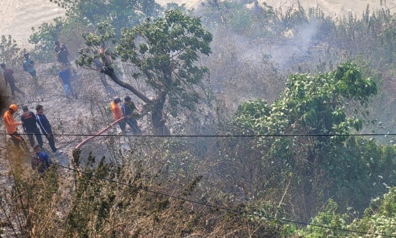 वनाग्नि पर फायर सर्विस की टीम ने पाया काबू