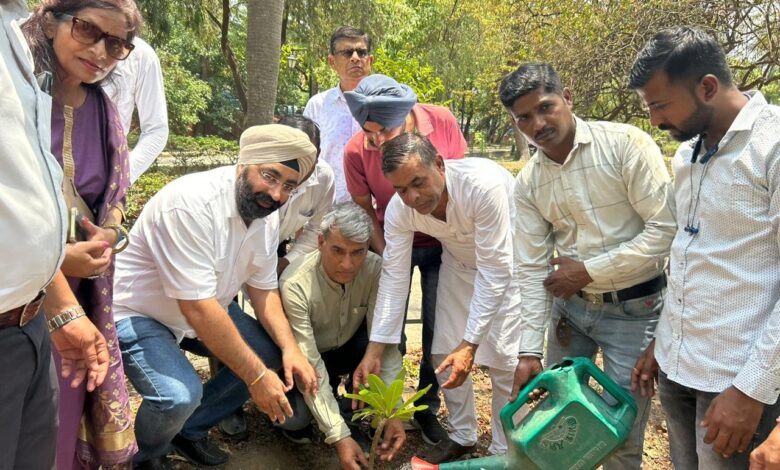 पर्यावरण सुरक्षा दिवस के रूप में मनाया गया राहुल गांधी जन्मदिवस