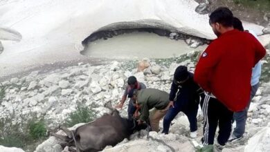 मानवता और मित्र पुलिस का मधुर संयोग मानवता और मित्र पुलिस का मधुर संयोग