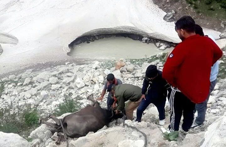 मानवता और मित्र पुलिस का मधुर संयोग
