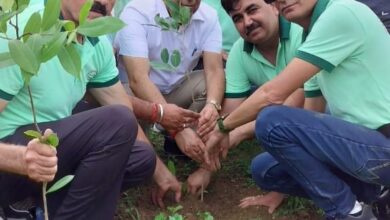 वन महोत्सव 2024 के अवसर पर किया वृक्षारोपण वन महोत्सव 2024 के अवसर पर किया वृक्षारोपण