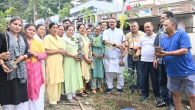कैबिनेट मंत्री ने किया प्रदेश वासियों से वृक्षारोपण करने का आव्हान कैबिनेट मंत्री ने किया प्रदेश वासियों से वृक्षारोपण करने का आव्हान