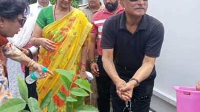 हरेला पर्व के अवसर पर मुख्य सचिव ने किया अमलतास का वृक्षारोपण