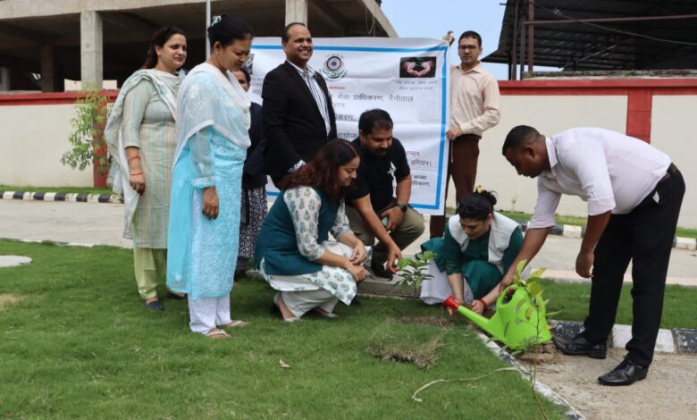 नए कोर्ट भवन के कैंपस पर  लगाए गए फलदार वृक्ष