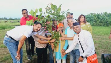 हरेला पर्व पर गंगा समग्र उत्तराखंड द्वारा आसन नदी के तट पर 500 वृक्षों का रोपण