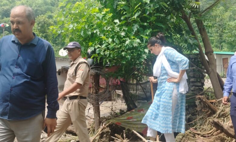 जिलाधिकारी ने लिया नुकसान का जायजा जिलाधिकारी ने लिया नुकसान का जायजा