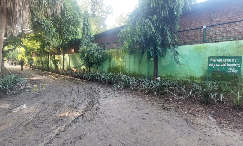 पार्क में जलभराव, जिलाधिकारी से की भाजपा प्रदेश कार्यकारिणी सदस्य ने मुलाकात