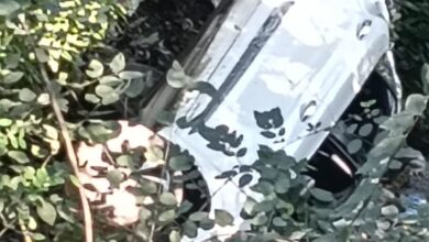 खाई में गिरी कार, चार घायल