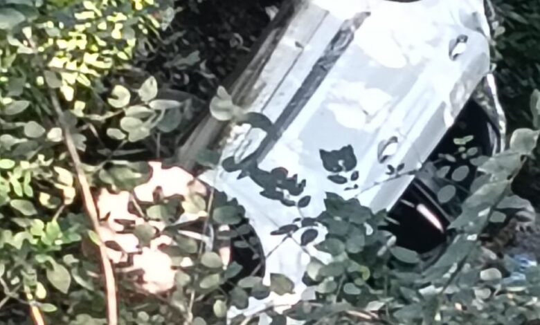 खाई में गिरी कार, चार घायल