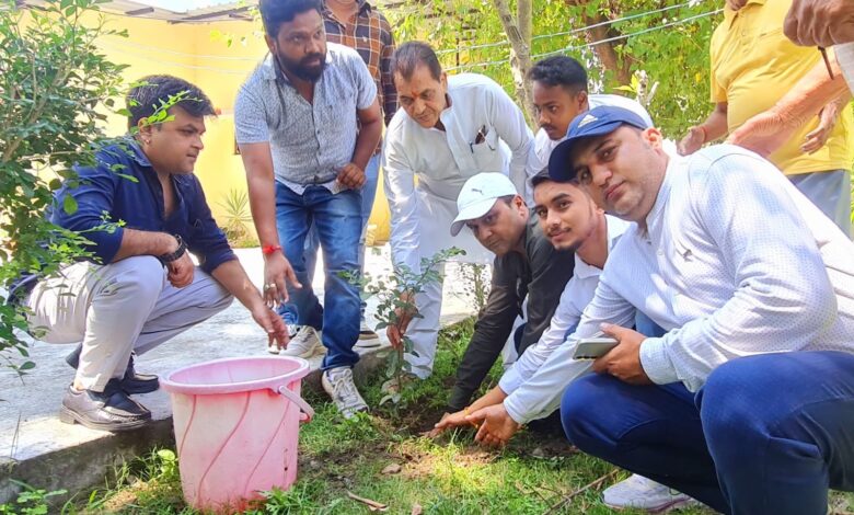 हिमालय दिवस पर कैबिनेट मंत्री ने किया पौधारोपण