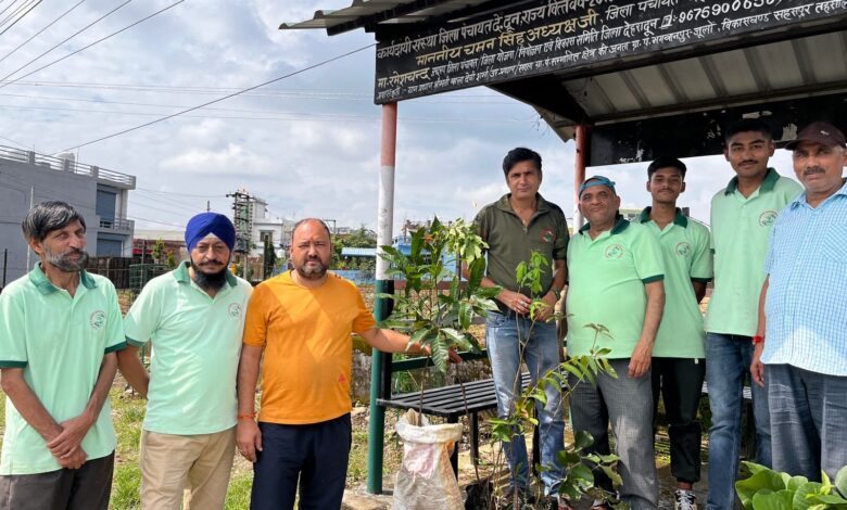 ट्री गार्ड्स सहित लगाए गए वृक्ष