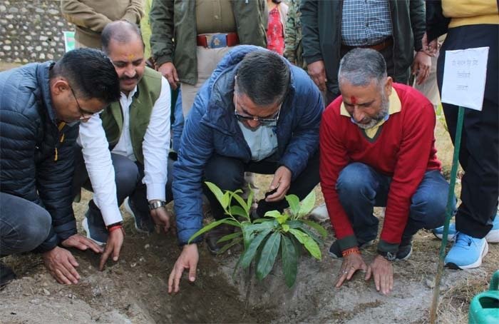 जिलाधिकारी बिष्ट ने रूद्राक्ष वाटिका का भ्रमण किया जिलाधिकारी बिष्ट ने रूद्राक्ष वाटिका का भ्रमण किया
