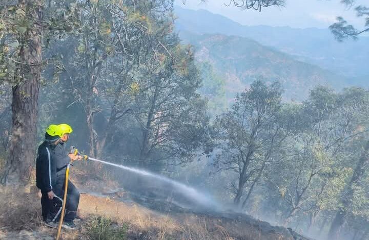 फायर फाइटर्स ने जंगल में लगी आग को बुझाया