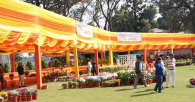 7 मार्च को राज्यपाल करेंगे वसंतोत्सव का शुभारंभ 7 मार्च को राज्यपाल करेंगे वसंतोत्सव का शुभारंभ