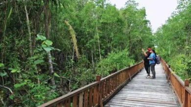 राजस्व बढ़ाने के लिए सरकार का नया कदम: प्राकृतिक सौंदर्य अब बनेगा राज्य की कमाई का जरिया, ईको टूरिज्म को मिलेगा बढ़ावा… राजस्व बढ़ाने के लिए सरकार का नया कदम: प्राकृतिक सौंदर्य अब बनेगा राज्य की कमाई का जरिया, ईको टूरिज्म को मिलेगा बढ़ावा…