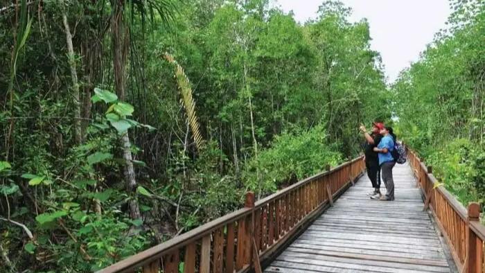 राजस्व बढ़ाने के लिए सरकार का नया कदम: प्राकृतिक सौंदर्य अब बनेगा राज्य की कमाई का जरिया, ईको टूरिज्म को मिलेगा बढ़ावा…