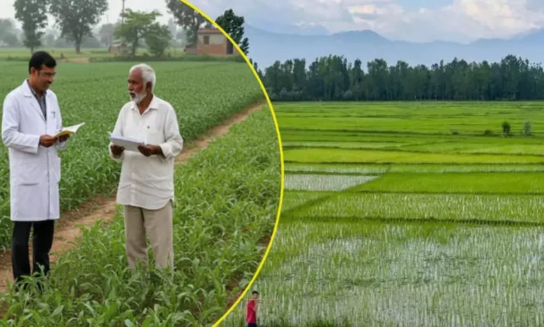 Uttarakhand News: उत्तराखंड में विकसित कृषि संकल्प अभियान के तहत किसानों को किया जा रहा जागरूक, वैज्ञानिक खेती को मिलेगा बढ़ावा…