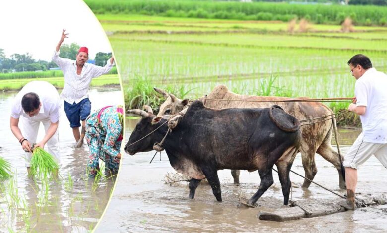 Uttarakhand News: सीएम धामी ने खेत में की धान रोपाई, किसानों के परिश्रम को किया नमन, बोले– अन्नदाता हमारी संस्कृति और अर्थव्यवस्था की रीढ़…