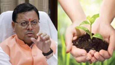 Uttarakhand News- पौधा लगाओ, पैसा खाओ..! धामी सरकार ने 1 पौधा लगाने में खर्च कर दिए 4,608 रुपए, आखिर किसने-कितना पैसा खाया है? Uttarakhand News- पौधा लगाओ, पैसा खाओ..! धामी सरकार ने 1 पौधा लगाने में खर्च कर दिए 4,608 रुपए, आखिर किसने-कितना पैसा खाया है?