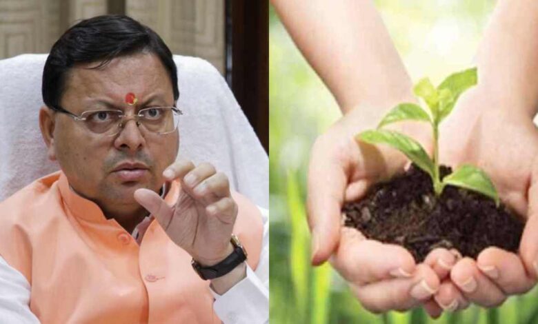 Uttarakhand News- पौधा लगाओ, पैसा खाओ..! धामी सरकार ने 1 पौधा लगाने में खर्च कर दिए 4,608 रुपए, आखिर किसने-कितना पैसा खाया है?