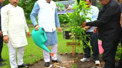 ‘एक पेड़ माँ के नाम’ अभियान: सीएम धामी ने किया पौधरोपण, पर्यावरण संरक्षण में जनसहभागिता का दिया संदेश…. ‘एक पेड़ माँ के नाम’ अभियान: सीएम धामी ने किया पौधरोपण, पर्यावरण संरक्षण में जनसहभागिता का दिया संदेश….