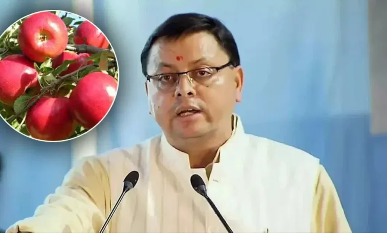 उत्तराखण्ड में सेब उत्पादकों को सीएम धामी का समर्थन, बेहतर पैकेजिंग हेतु यूनिवर्सल कार्टन का वितरण शुरू… उत्तराखण्ड में सेब उत्पादकों को सीएम धामी का समर्थन, बेहतर पैकेजिंग हेतु यूनिवर्सल कार्टन का वितरण शुरू…