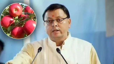 उत्तराखण्ड में सेब उत्पादकों को सीएम धामी का समर्थन, बेहतर पैकेजिंग हेतु यूनिवर्सल कार्टन का वितरण शुरू… उत्तराखण्ड में सेब उत्पादकों को सीएम धामी का समर्थन, बेहतर पैकेजिंग हेतु यूनिवर्सल कार्टन का वितरण शुरू…