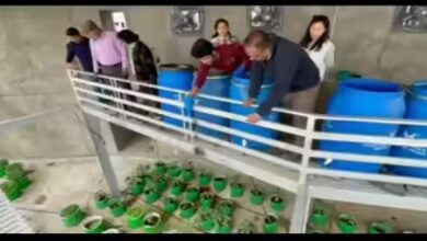 पानी संकट के लिए समाधान: ट्रिटेड सीवेज वॉटर हाइड्रोपोनिक्स को राष्ट्रीय पेटेंट..