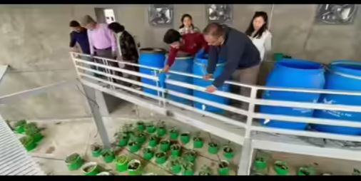 पानी संकट के लिए समाधान: ट्रिटेड सीवेज वॉटर हाइड्रोपोनिक्स को राष्ट्रीय पेटेंट..