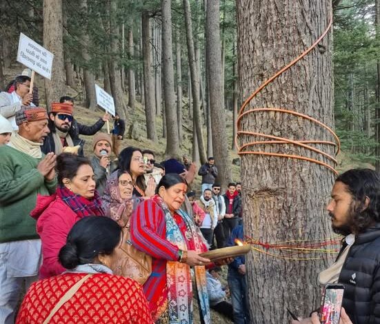 गंगोत्री नेशनल हाईवे चौड़ीकरण में बड़ा पर्यावरणीय बदलाव, 5,400 से अधिक देवदार के पेड़ बचेंगे..