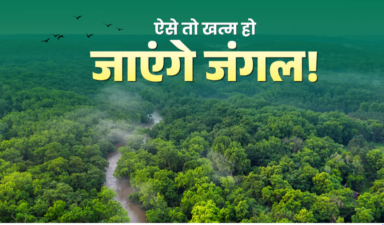 भागीरथी कैचमेंट क्षेत्र के जंगलों में पुनर्जीवन संकट! 22 फीसदी प्रजातियों की अगली पीढ़ी गायब, स्टडी रिपोर्ट