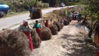 उत्तराखंड में पिरुल से बदलेगी तस्वीर, जंगल बचेंगे और आमदनी भी होगी