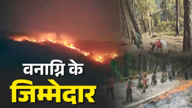 वनाग्नि के लिए सिर्फ जलवायु परिवर्तन ही नहीं जिम्मेदार, अध्ययन ने बताई ब्रिटिश काल के वन प्रबंधन की खामियां