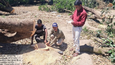 Ramnagar: कॉलोनी बनाने के लिए 12 बीघा बगीचे में 60 पेड़ों पर चला दी आरी, बगीचा स्वामी के खिलाफ FIR दर्ज