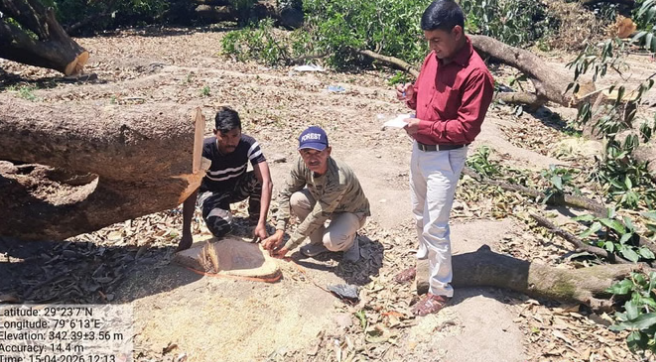 Ramnagar: कॉलोनी बनाने के लिए 12 बीघा बगीचे में 60 पेड़ों पर चला दी आरी, बगीचा स्वामी के खिलाफ FIR दर्ज