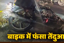 तेज रफ्तार बाइक से टकराया तेंदुआ, काफी देर तक फंसा रहा, देखिए वीडियो