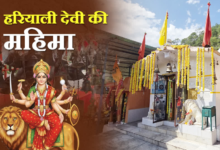 सिद्धपीठ हरियाली देवी में नवरात्रि की धूम, यहां जौ में दिखती देवी की दिव्य आस्था